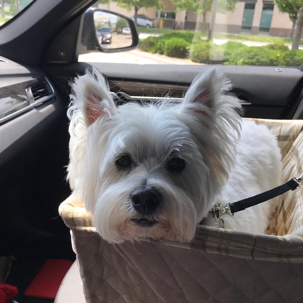 Meet your Posher, Jacquelyn